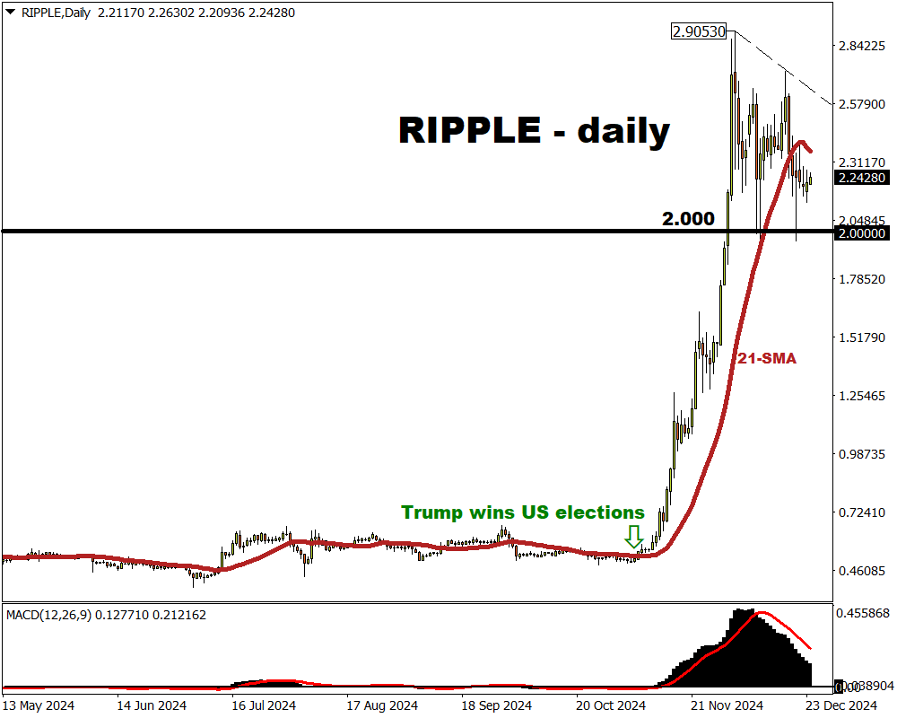 Ripple more than tripled in 2024